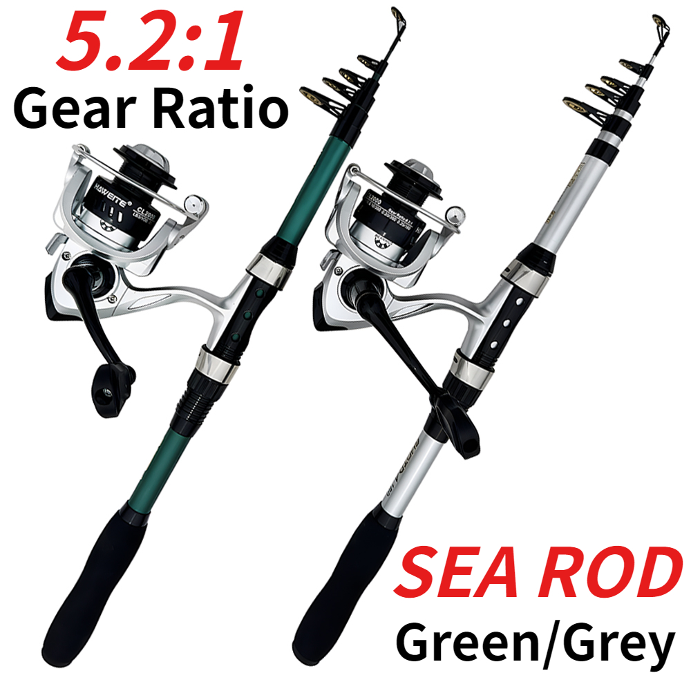 Spinning Sea Fishing Rod Combo - Developing Tank Reel ulasan dan harga